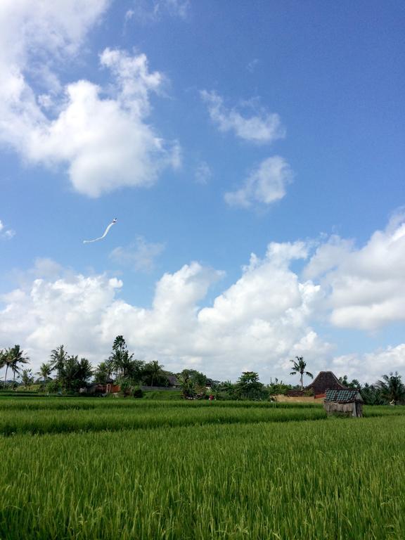 Rumah Semanggi Ubud  Exterior photo